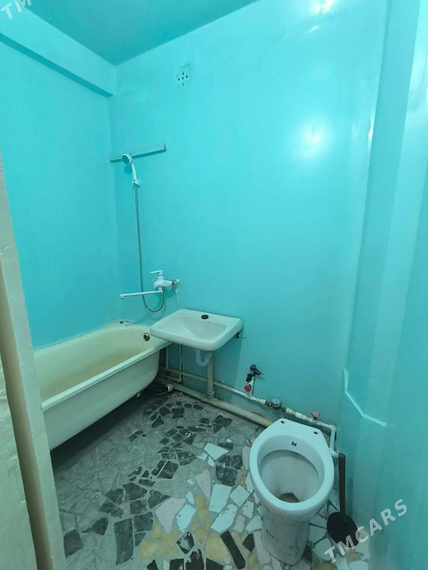 satlyk jaylar - Мары - img 6