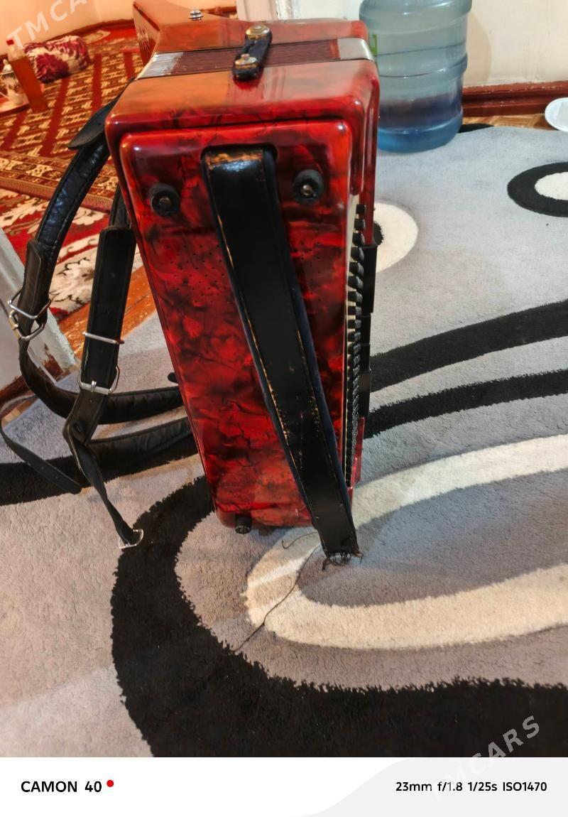 Akkordeon royal standart - Türkmenbaşy - img 1