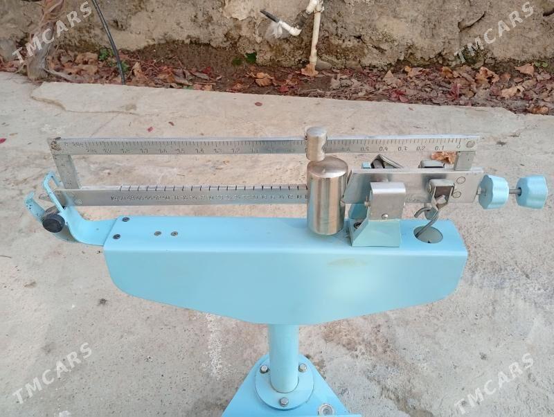 terezi gapan - Büzmeýin - img 2