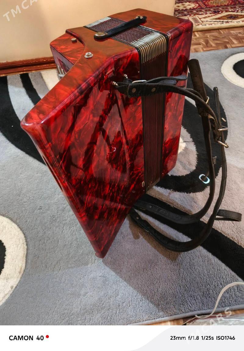 Akkordeon royal standart - Türkmenbaşy - img 4