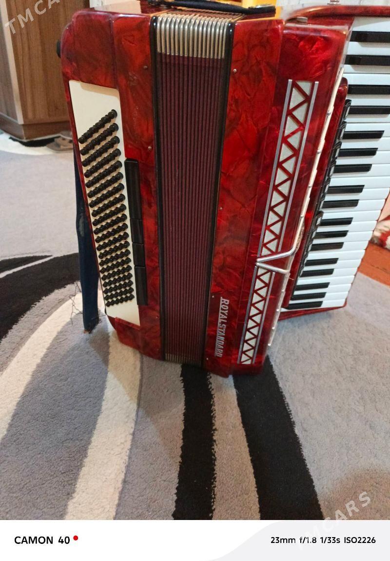 Akkordeon royal standart - Türkmenbaşy - img 3