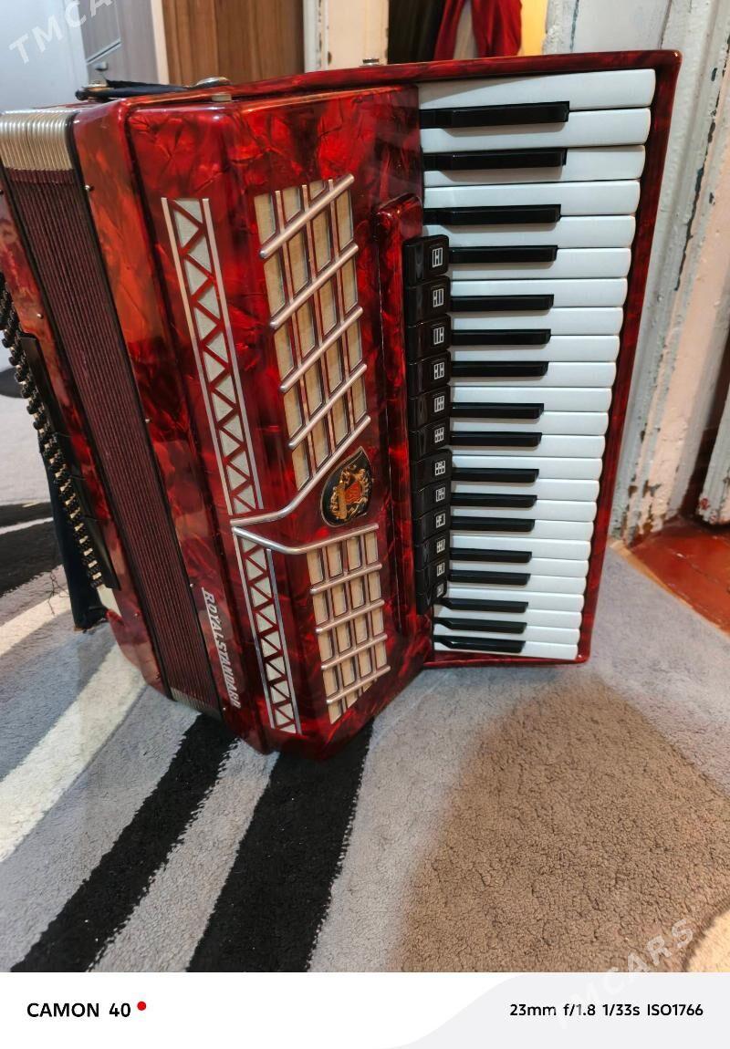 Akkordeon royal standart - Türkmenbaşy - img 2