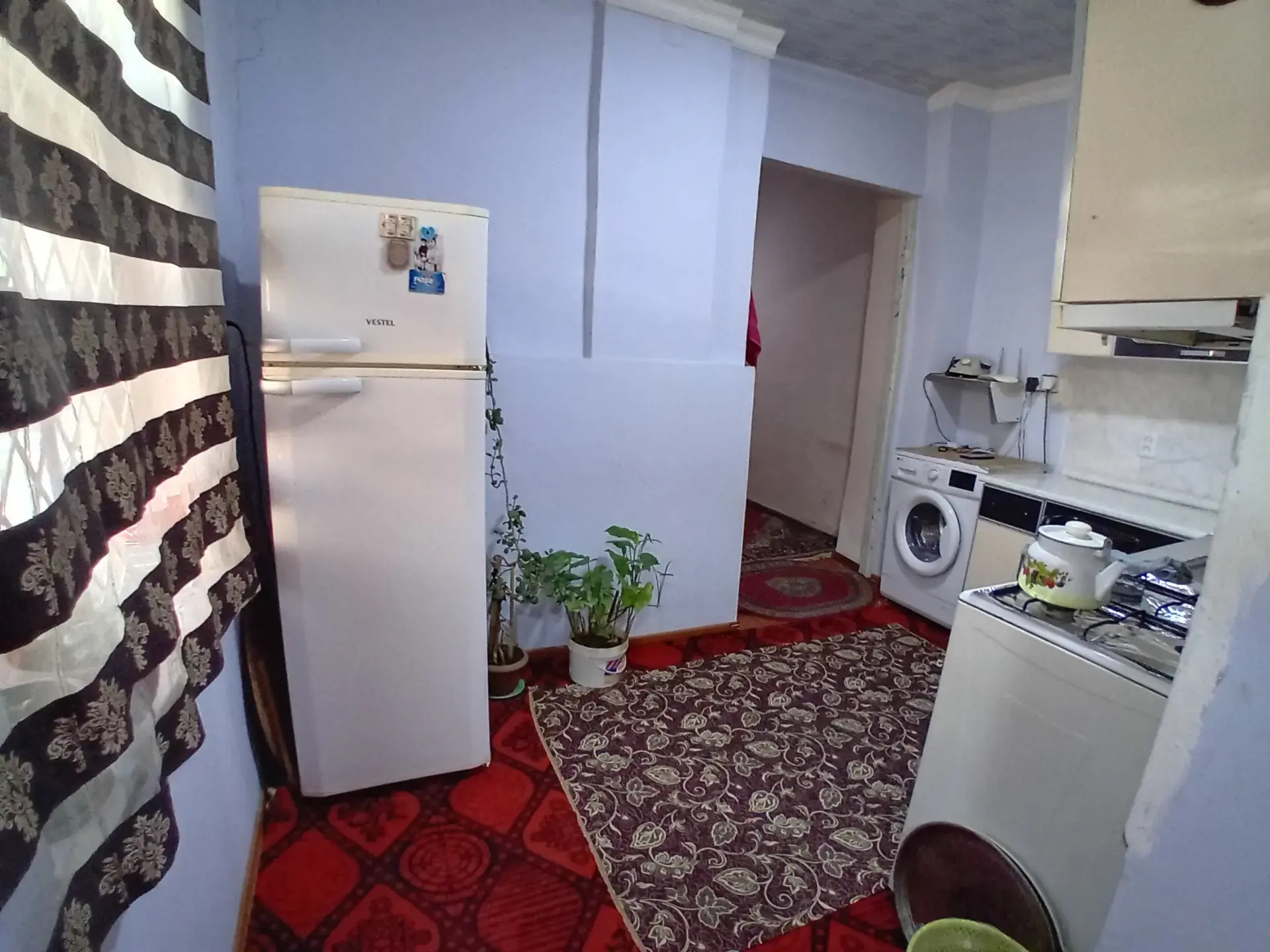 Arenda howly - Mary - img 3