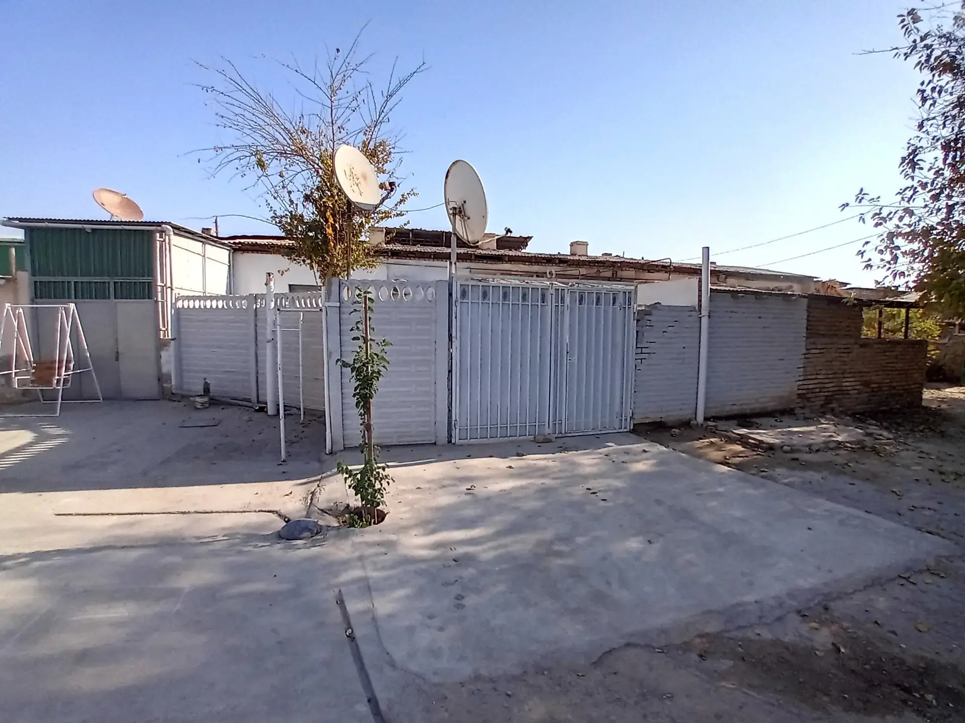 Arenda howly - Mary - img 7