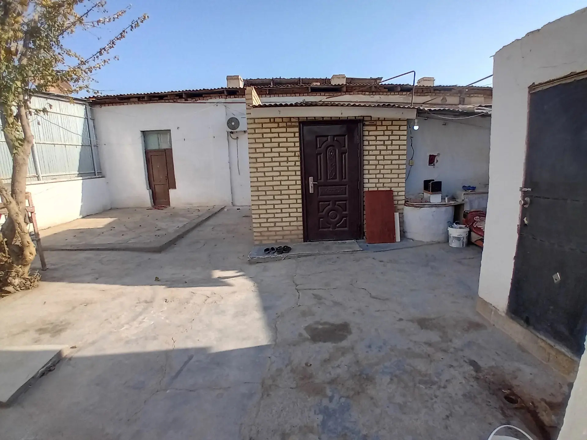 Arenda howly - Mary - img 5