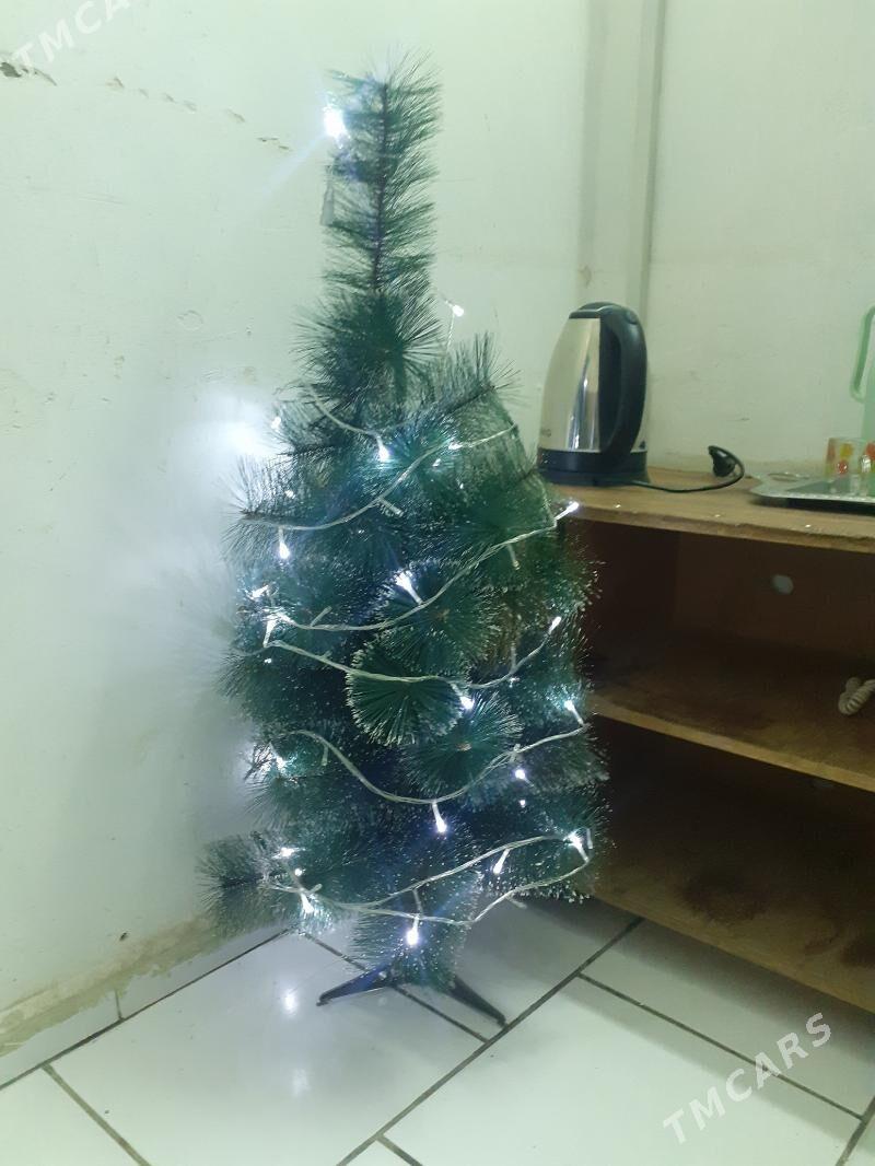 Yolka - Aşgabat - img 2