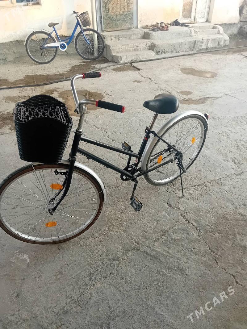 tigir - Büzmeýin - img 1