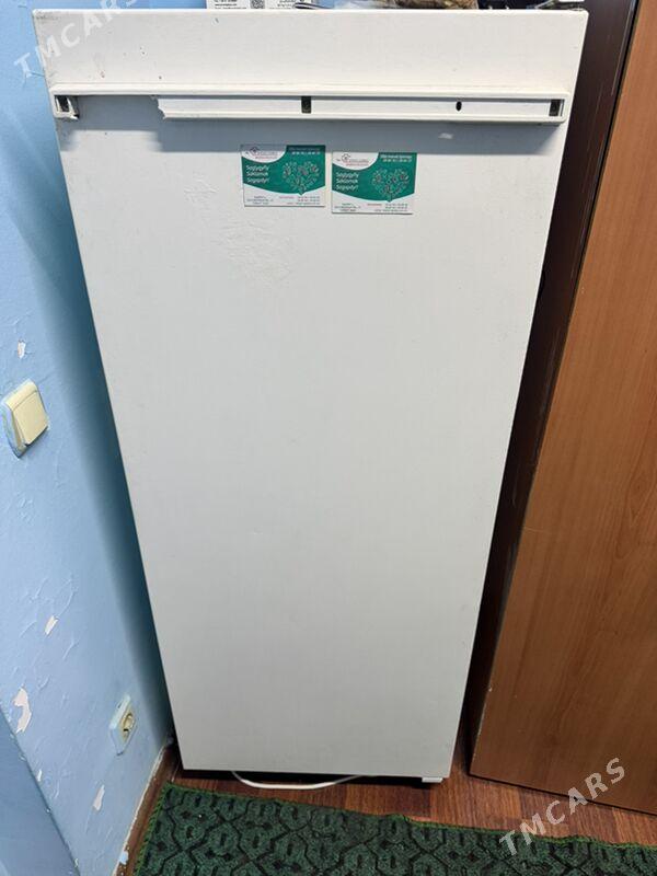 Holodilnik холодильник - Гаудан "А" - img 1