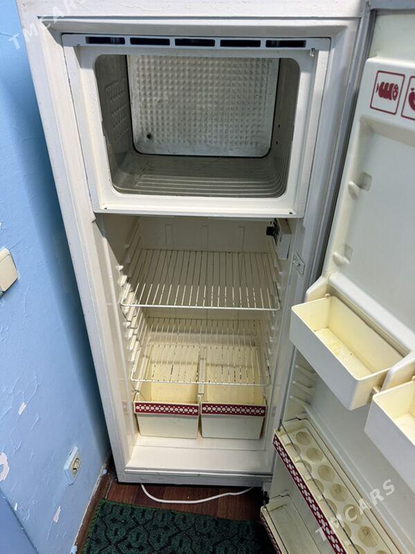 Holodilnik холодильник - Гаудан "А" - img 2