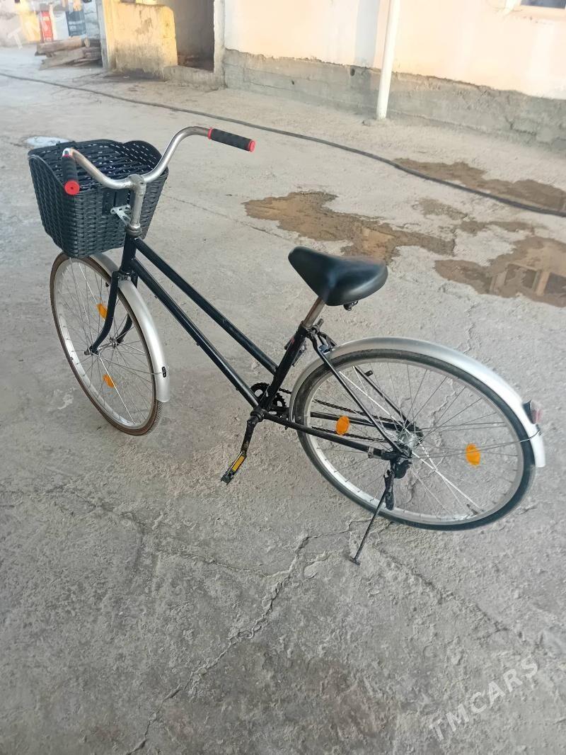 tigir - Büzmeýin - img 2