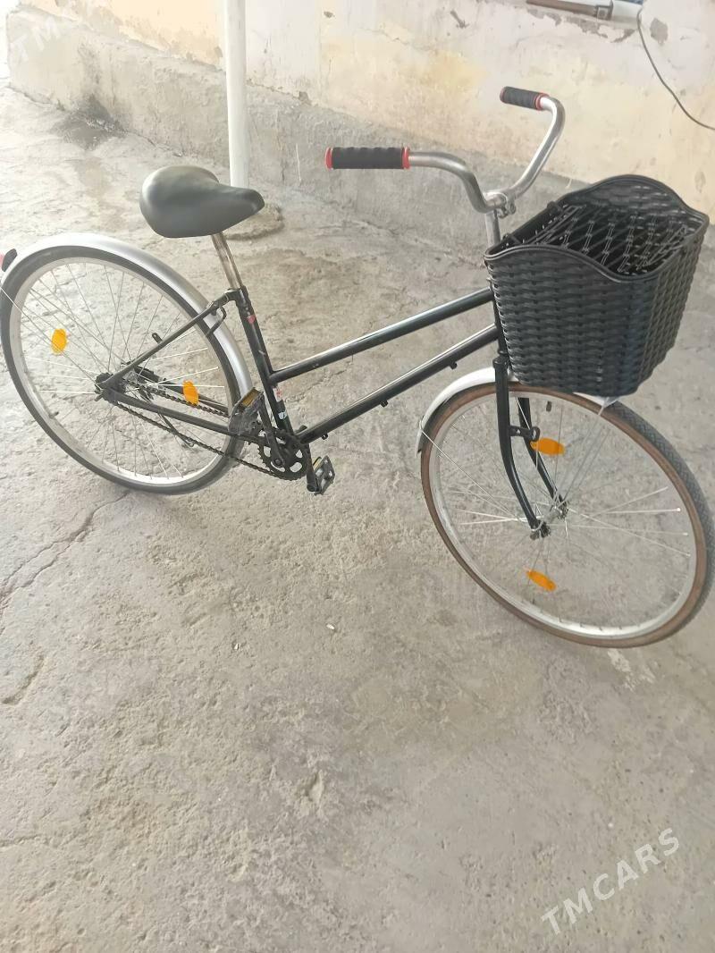 tigir - Büzmeýin - img 3