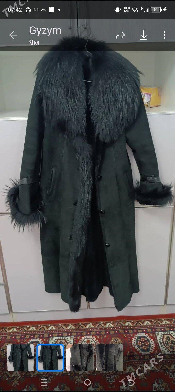 palto - Gyzylarbat - img 2