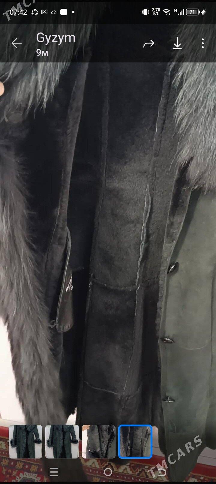 palto - Gyzylarbat - img 4