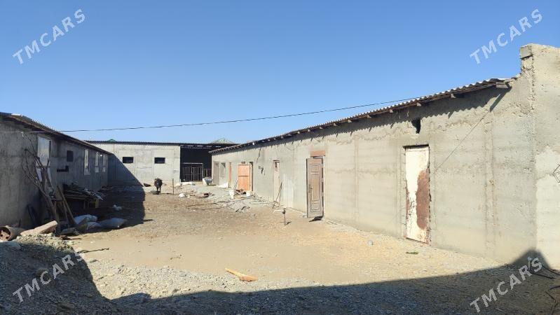 satlyk jay daca yer - Бахарден - img 9