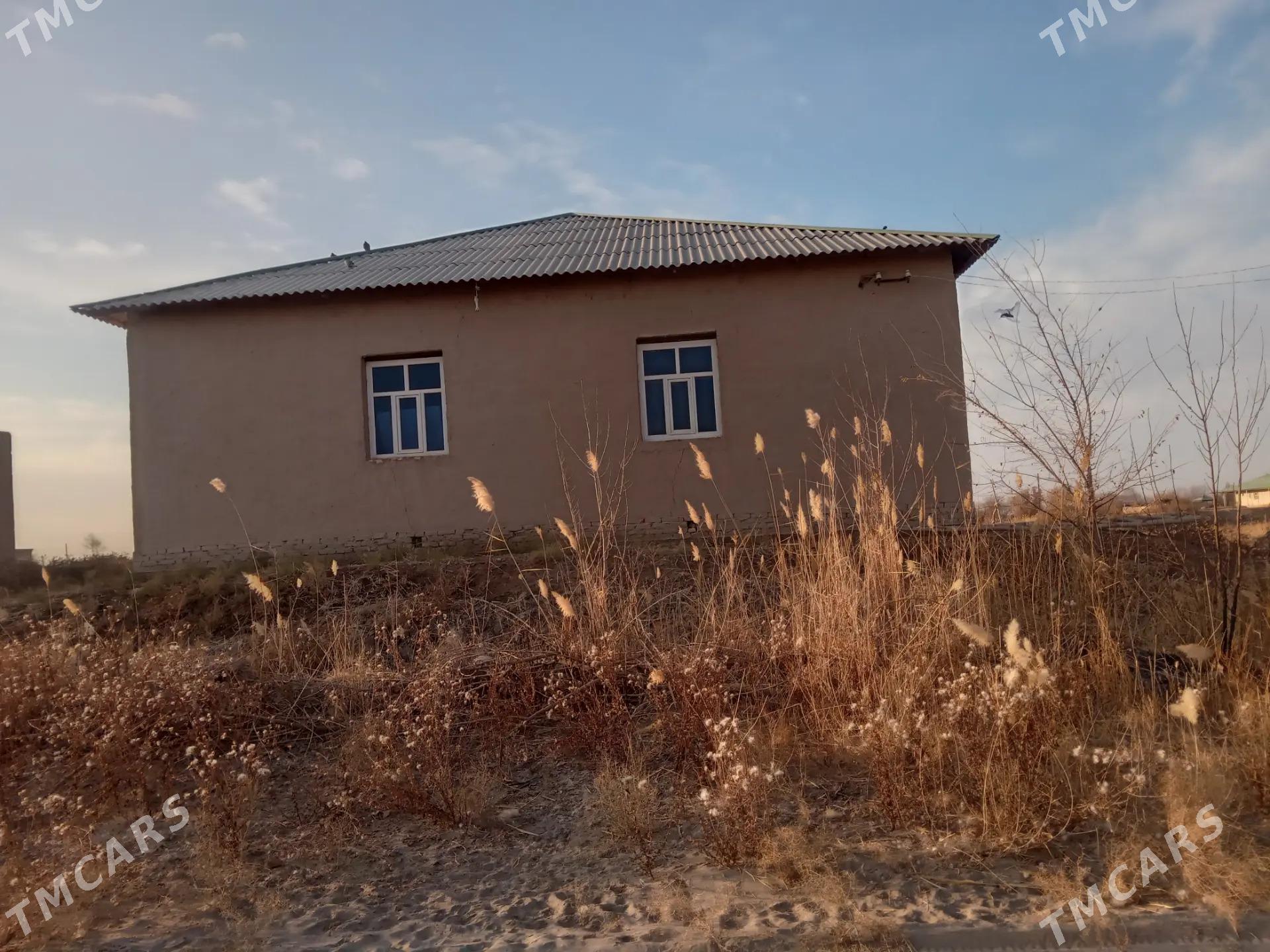 satlyk jay - Gurbansoltan Eje - img 2