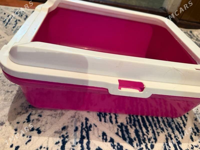 лоток для кошек - Ашхабад - img 2