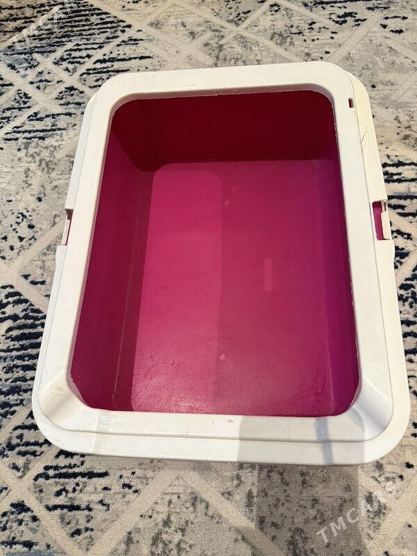 лоток для кошек - Ашхабад - img 1