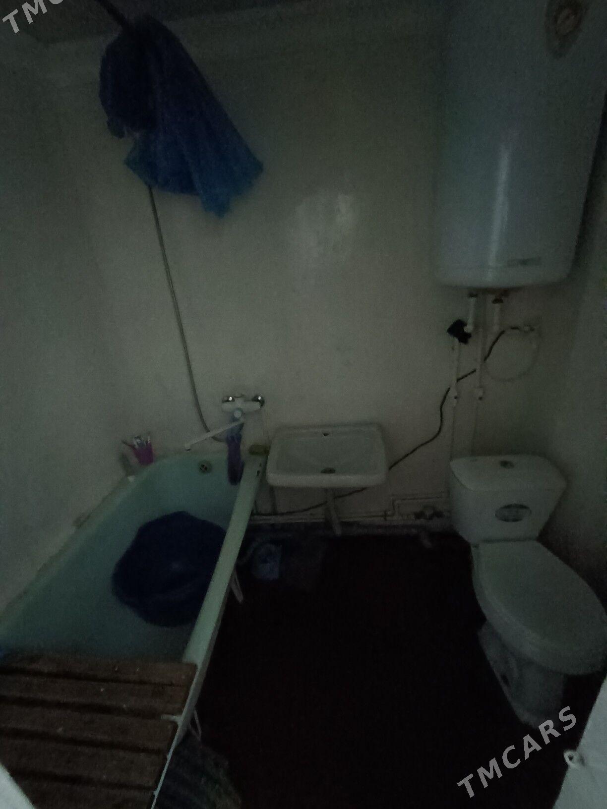 Satlyk jay - Мары - img 9