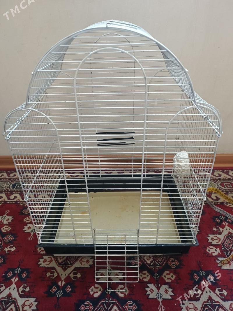 Kletka Клетка - Ашхабад - img 2