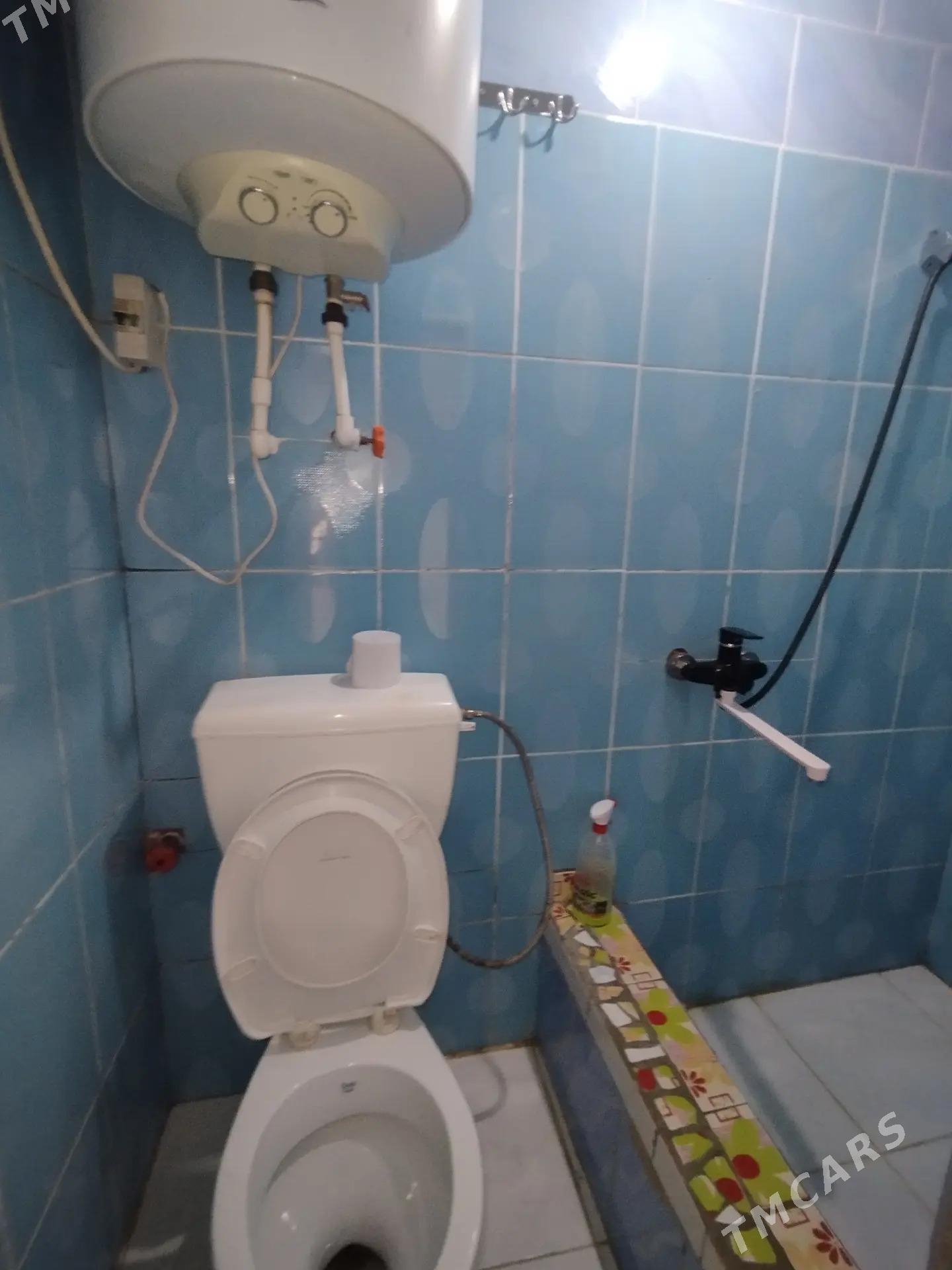 Satlyk jay - Мары - img 3