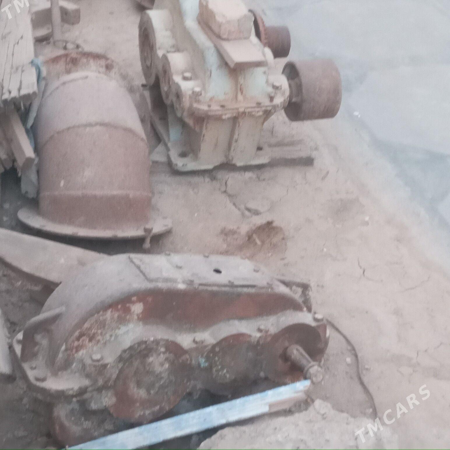 redykdir - Мары - img 2