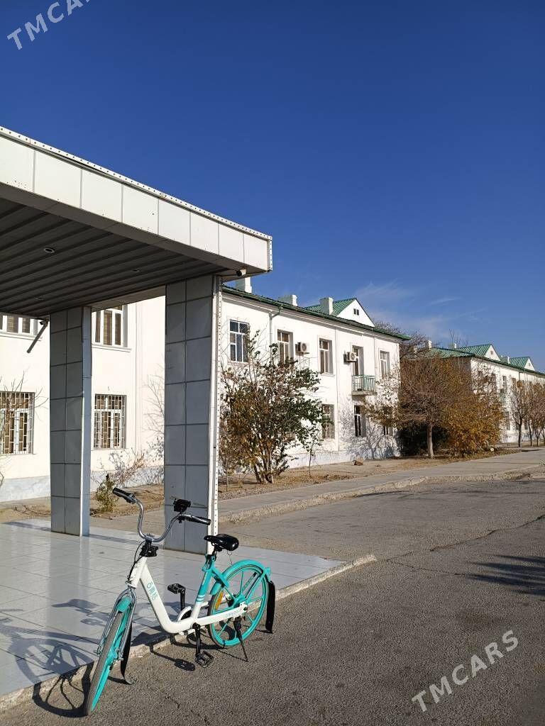 welik - Balkanabat - img 3