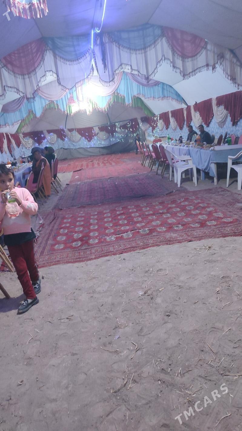 toy haly - Akdepe - img 4