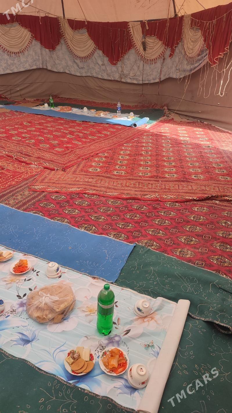 toy haly - Akdepe - img 1