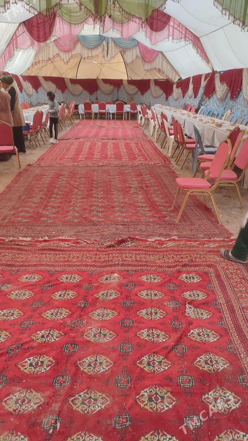 toy haly - Akdepe - img 5