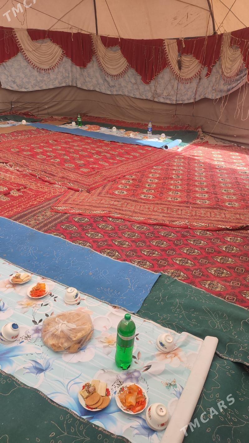 toy haly - Akdepe - img 3