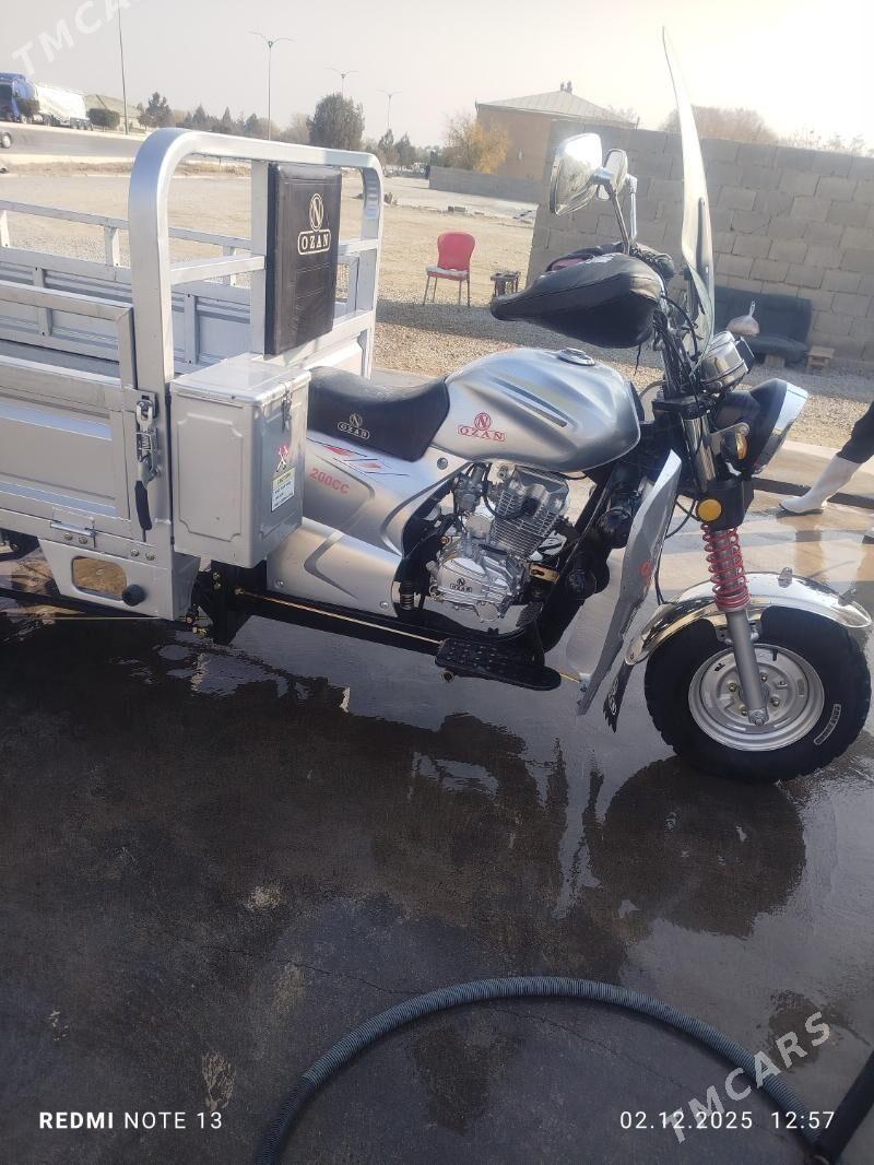Ozan 200CC 2024 - 25 000 TMT - Bäherden - img 2