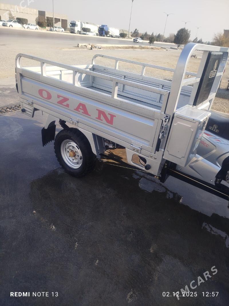 Ozan 200CC 2024 - 25 000 TMT - Bäherden - img 3