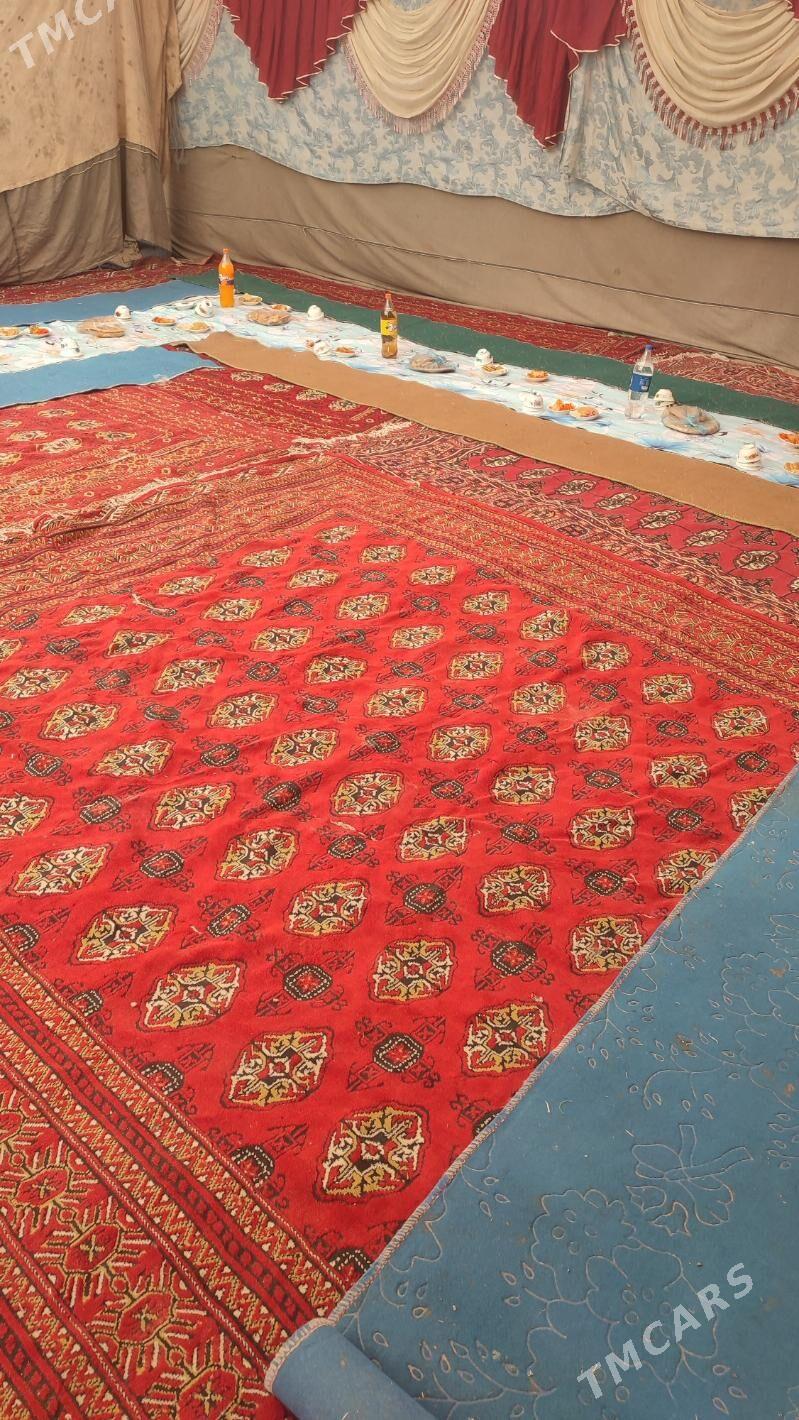 toy haly - Akdepe - img 2