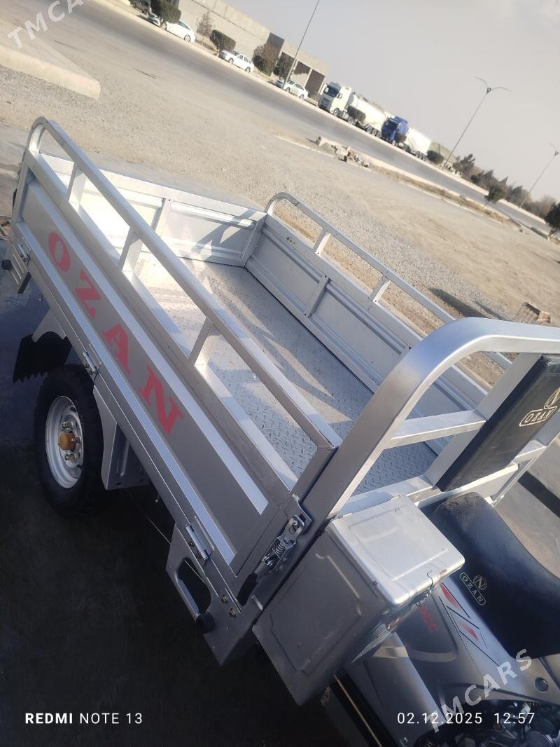 Ozan 200CC 2024 - 25 000 TMT - Bäherden - img 4