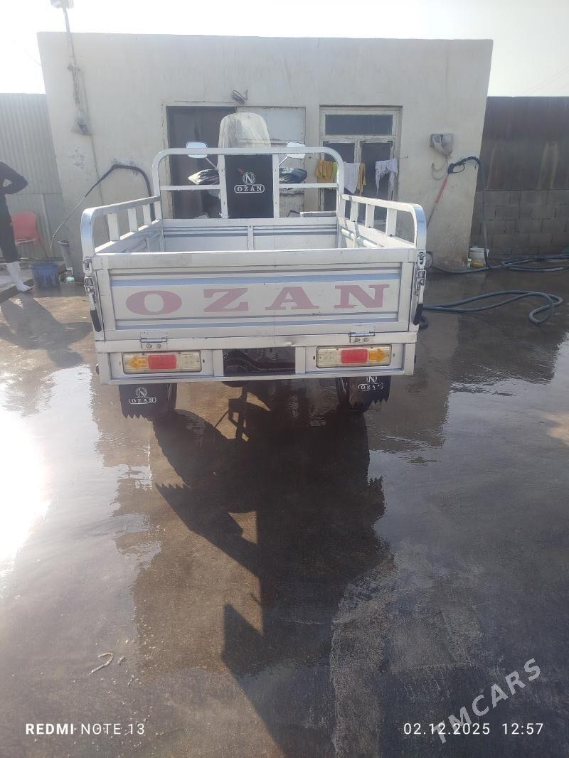 Ozan 200CC 2024 - 25 000 TMT - Bäherden - img 5