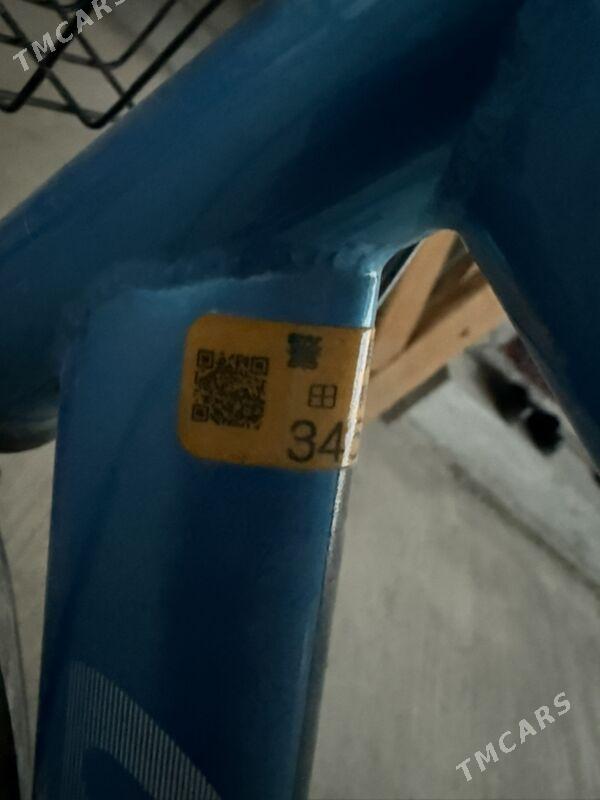 Tigir - Гёкдепе - img 3