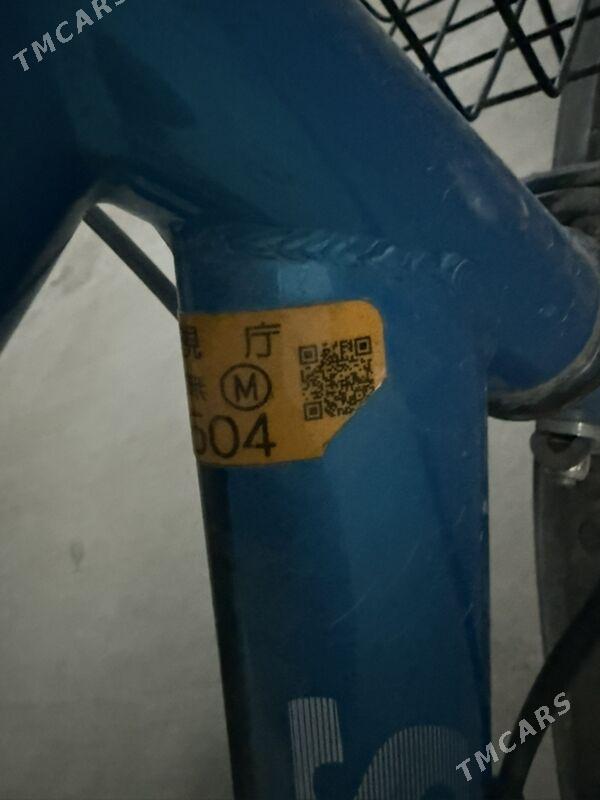 Tigir - Гёкдепе - img 2