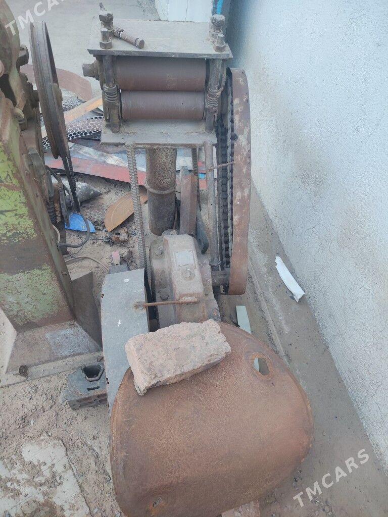 walsowka kici - Mary - img 2