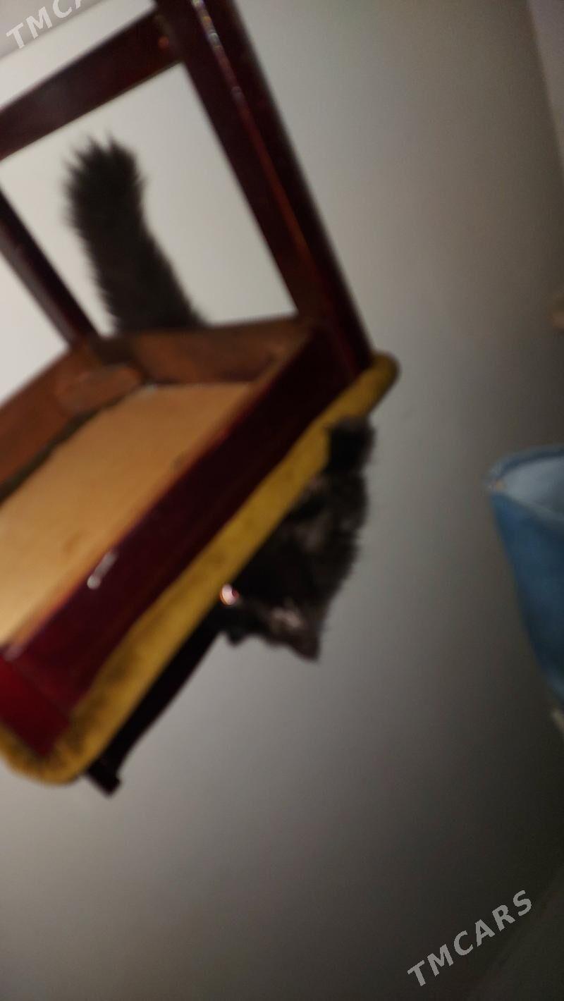 Zoloto Gara 9k - Ашхабад - img 4