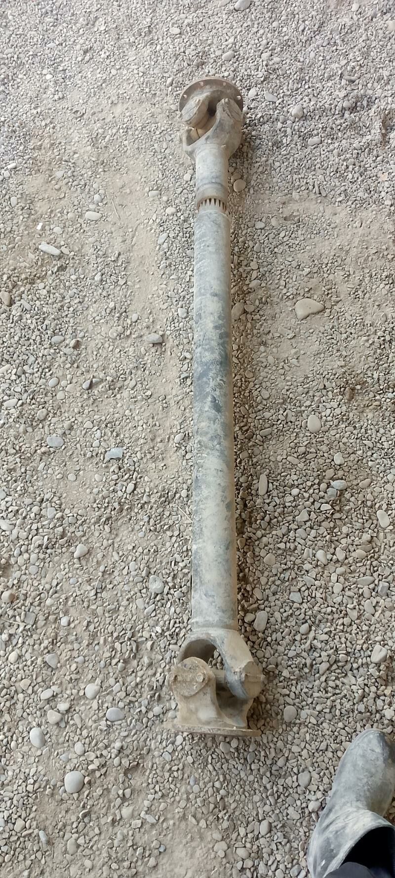 mazyn kardany 1 000 TMT - Sakarçäge - img 2