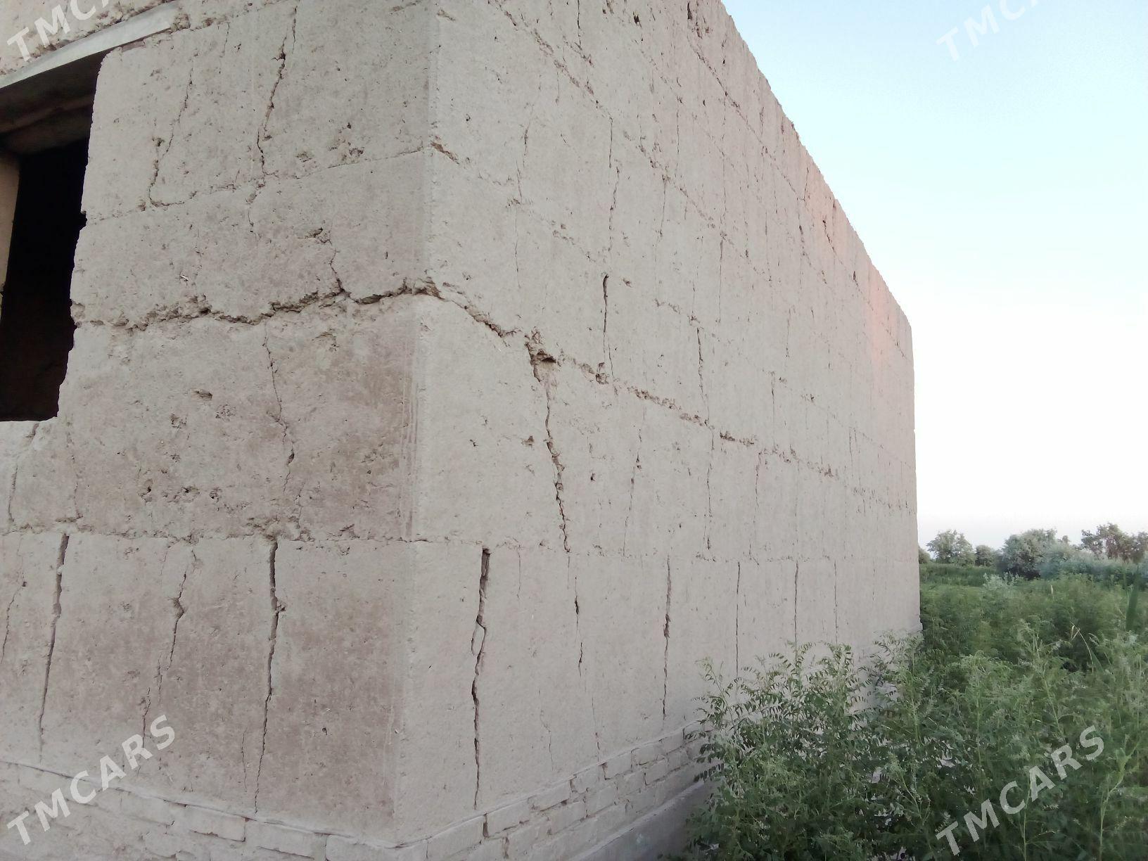 satlyk jay - Кёнеургенч - img 6