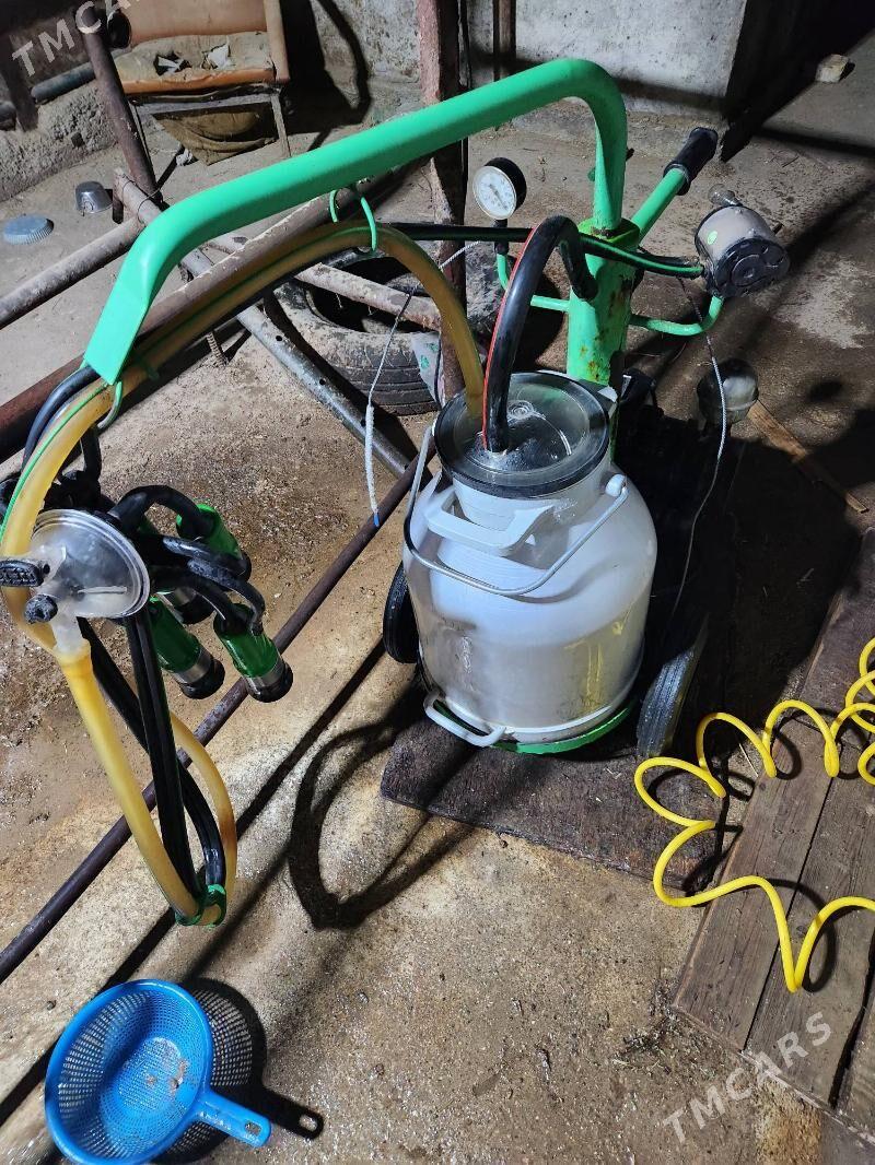 suyt sagyan stanok - Büzmeýin - img 2