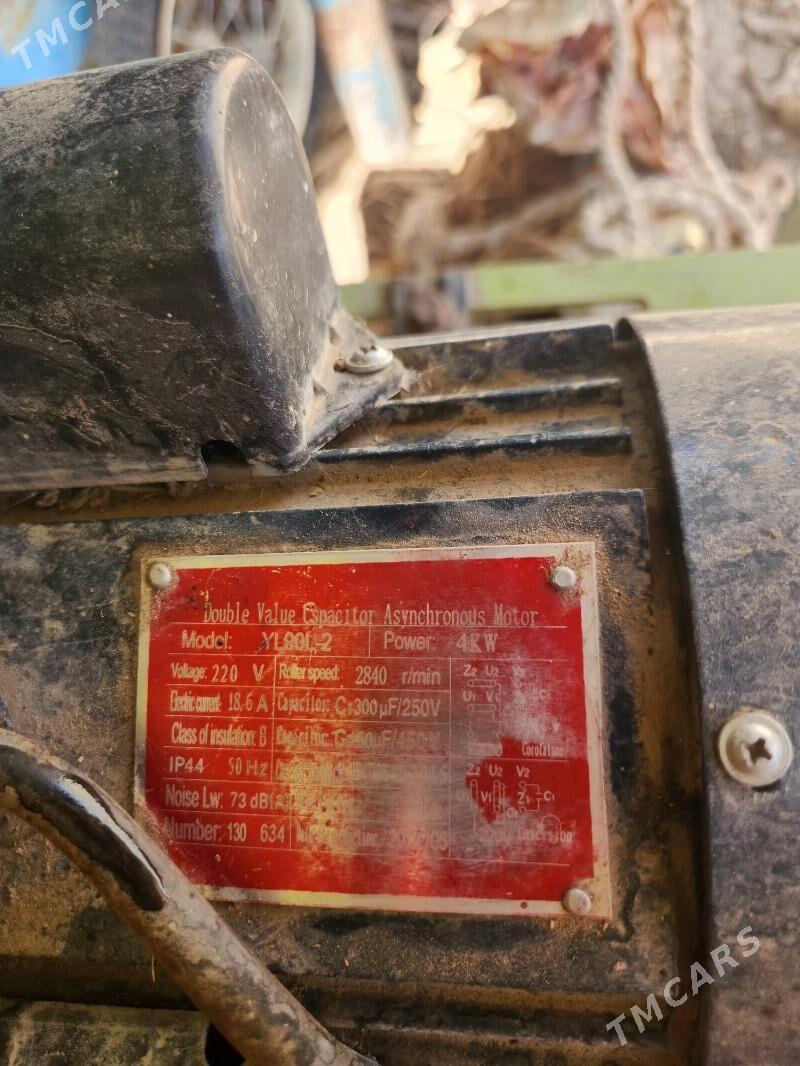 ot uweýan stanok - Büzmeýin - img 3