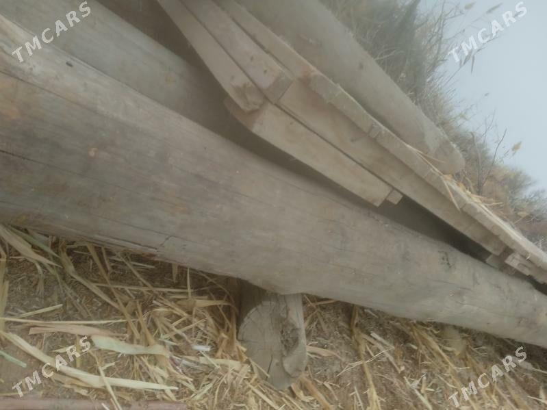 rasiski agac boyi 6metir - Boldumsaz - img 3