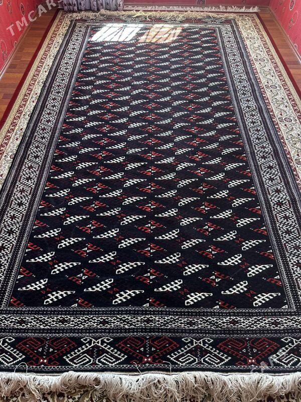 haly - Balkanabat - img 3