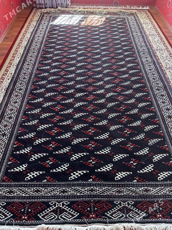 haly - Balkanabat - img 4