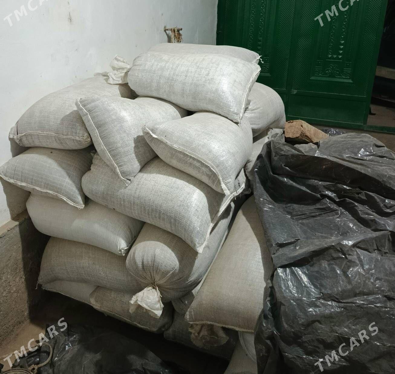 jöwen tohum - Köýtendag - img 1