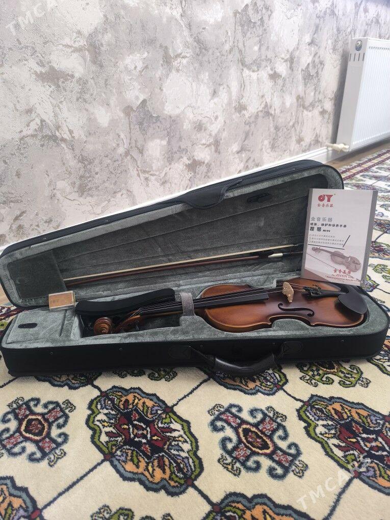 Skripka - Aşgabat - img 2