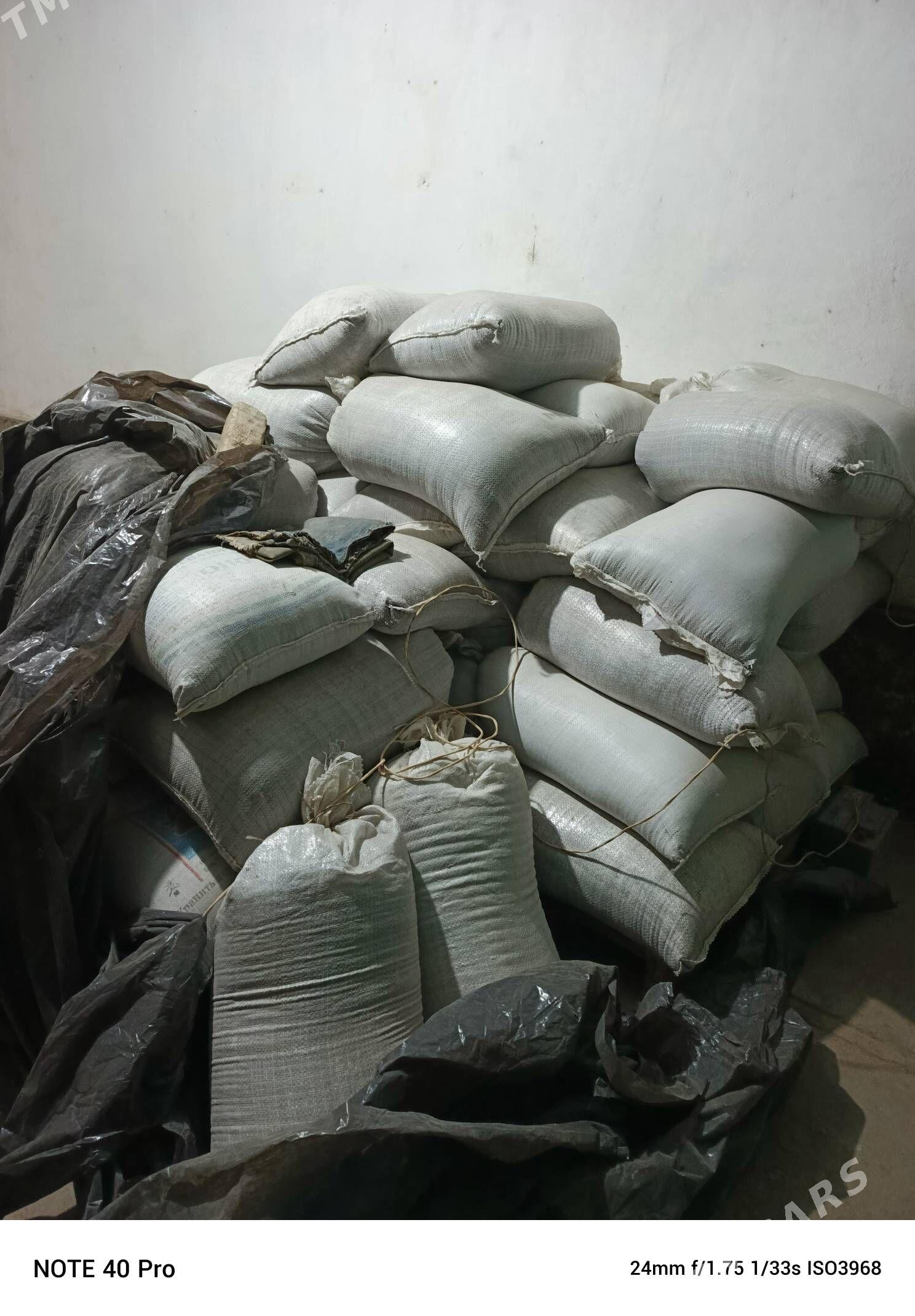 jöwen tohum - Köýtendag - img 2