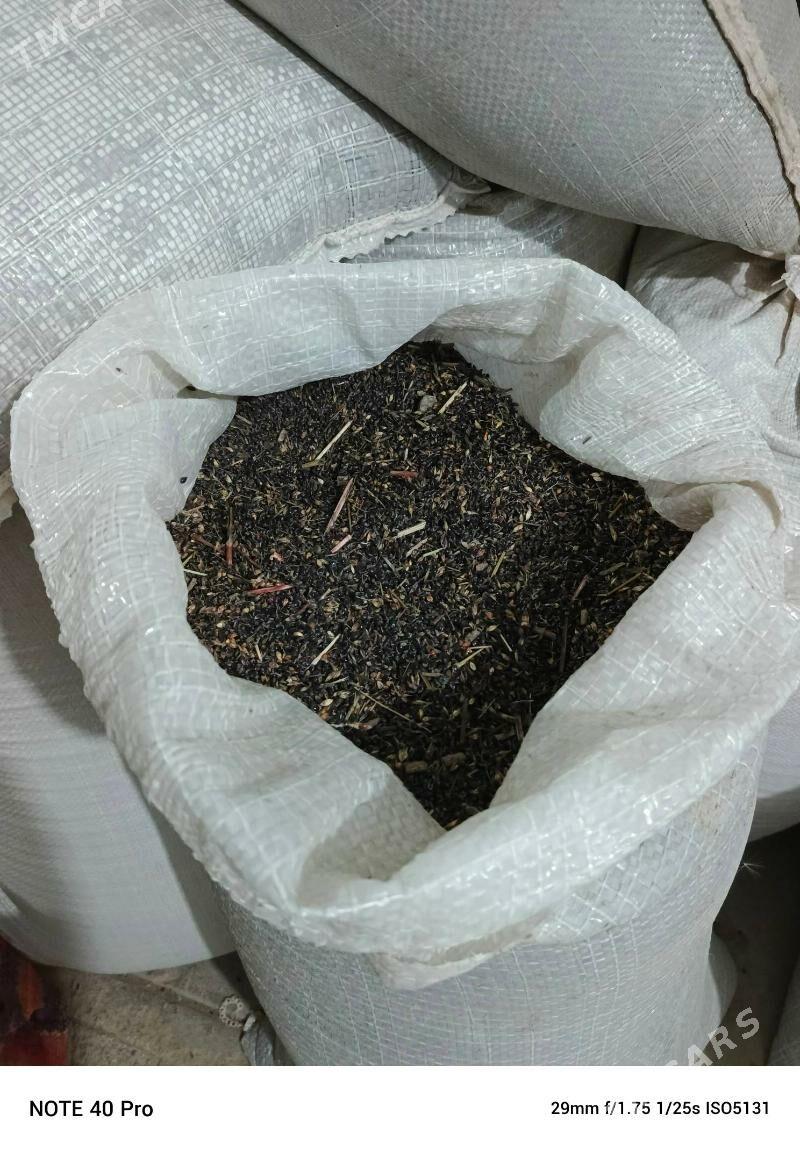 jöwen tohum - Köýtendag - img 4